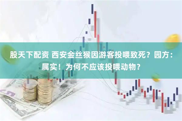 股天下配资 西安金丝猴因游客投喂致死？园方：属实！为何不应该投喂动物？